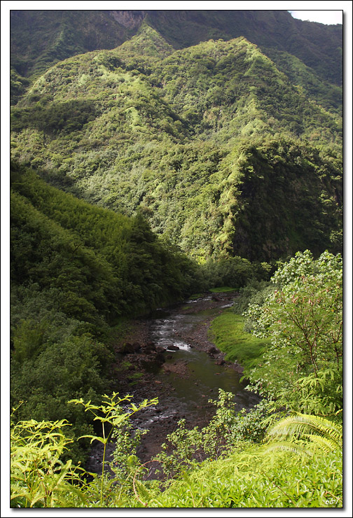 40D11113 cs cadre2.jpg - Tahiti - Vallée de la Papenoo
